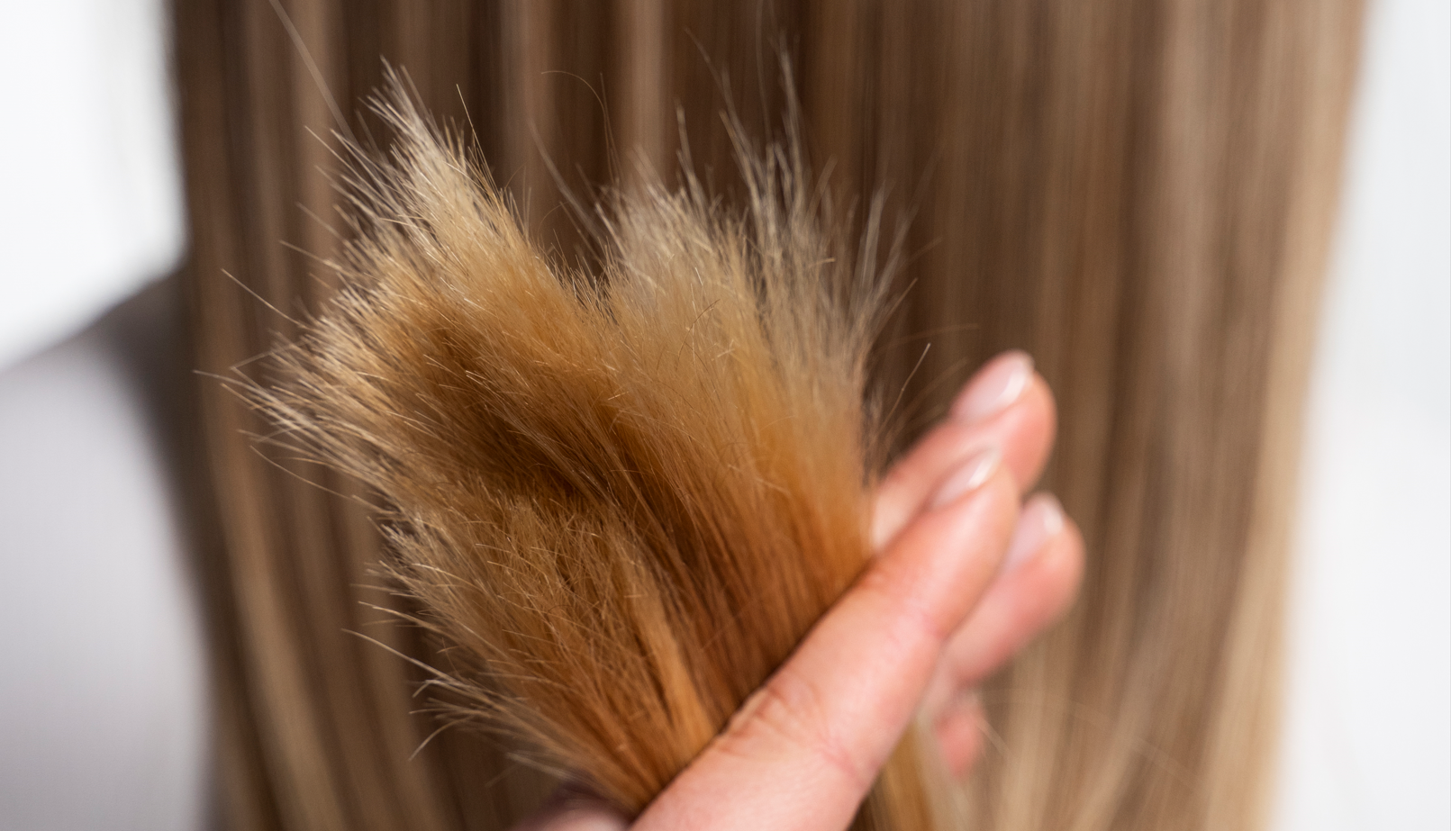 6 Easy Ways to Prevent Split Ends and Hair Breakage
